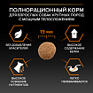 Сухой корм Pro Plan Large Robust для взрослых собак крупных пород, с курицей 18 кг